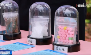 透过数据直击中国禁毒力度 织密筑牢防范成瘾性物质滥用思想防线