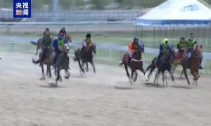 马头琴一响 赛马版“村超”联赛尽显速度与激情