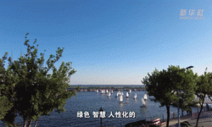 新时代中国调研行之文化中华丨到百年开埠地码头穿越旧时光