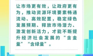 中经评论：用好市场机制，不断提升发展“含绿量”