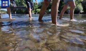 德国“炙烤模式”持续：多地超40℃ 政府敦促民众防暑降温