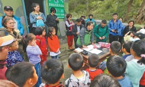 这里的“鸟栈”来新客（美丽中国）