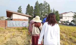 活力中国调研行｜破旧老屋圈“新粉”，这个空心村咋就变身江西“阿勒泰”？