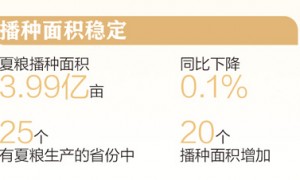 2994.8亿斤，全国夏粮稳产丰收（三夏进行时）