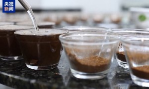 美国向欧盟、墨西哥发出“关税通牒” 盟友强硬回怼