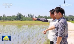 各地多措并举 积极应对高温