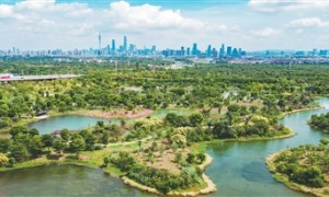 “城市绿心”律动人与自然的和谐乐章（深阅读·人与自然和谐共生的现代化）