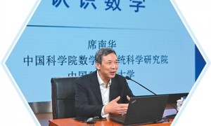 探索至真至美的数学世界（弘扬科学家精神）