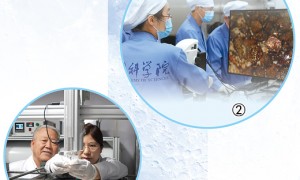 揭秘月球背面（新知）