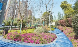 我们的美丽城市 我们的宜居家园（产经观察）