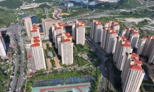 新华视点｜不同维度观就业