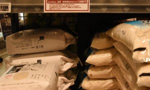 日本多地严重缺水　水稻产区面临“新米危机”