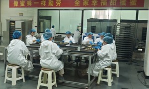 “金果果”鼓起果农“钱袋子”——新疆喀什核桃产业发展见闻