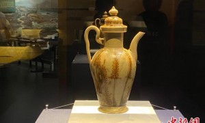 中国文物迎暑期“出差”热潮 年轻人从打卡转向读史