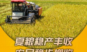 中国经济半年报丨重磅数据接连发布 多维度带你看中国发展“节节高”