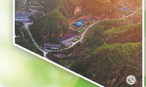 改造黄土地 披绿又生金