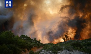 西班牙多地发生山火 过火面积超5000公顷
