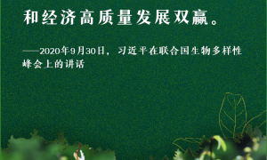 看图学习丨抓生态文明建设 总书记要求正确处理这对关系