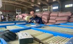 对口援疆 潮涌天山丨艾草里榨“真金” 泉州援疆结出富民果