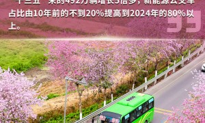 天蓝、水清、山绿、城美！“数”看中国生态答卷