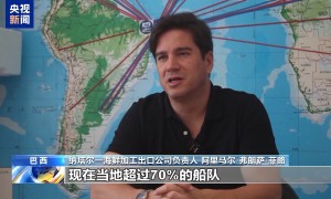 总台记者探访丨美高关税致巴西海鲜出口重镇企业停摆 渔民收入锐减