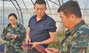 有个林区科技小院（美丽中国·科技小院探生态）