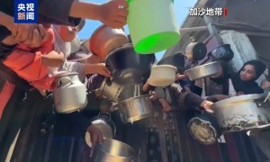 安理会14国呼吁立即应对加沙饥荒