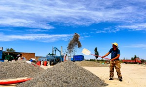 高质量发展看中国｜“金瓜子”变成“金钥匙”！戈壁滩书写现代农业“金色答卷”
