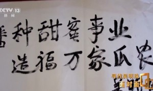 面对面丨中国人的吃瓜自由要感谢她！吴明珠说她的一生就是结几个好瓜献给人民