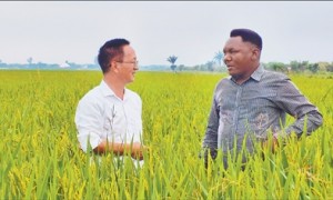 “为布隆迪农业发展注入新动力”（共创繁荣发展新时代）
