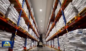1至7月全国社会物流总额超200万亿元