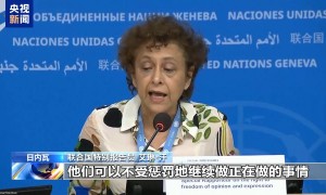 多名联合国特别报告员指责以方违反国际法