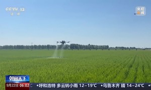 持续完善灌排工程体系 我国耕地灌溉面积达10.86亿亩