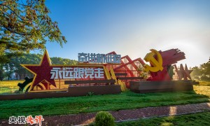 【央视快评】更好为党育才为党献策