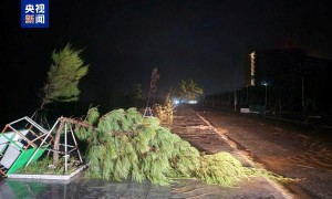 总台现场直击丨台风“博罗依”登陆越南 部分地区断电断网