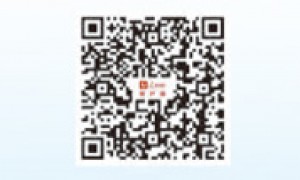 “一带一路”——凝结中国智慧的国际公共产品（高质量发展故事汇·第11期）