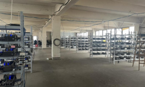 扫除游戏健康生态“新害虫”，米哈游协助警方斩断“游戏账号非法租售黑灰产”链条