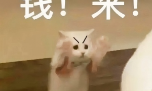 赏金猎人玩法将上线，拉格朗日要实现共同富裕？